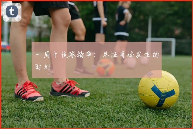 一周十佳球精华：见证奇迹发生的时刻